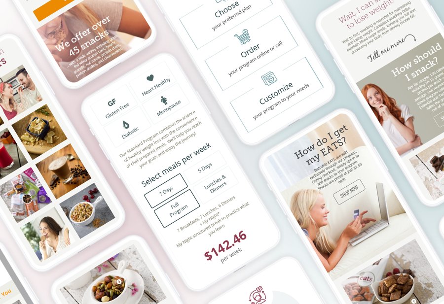 Meal program, meal delivery website design